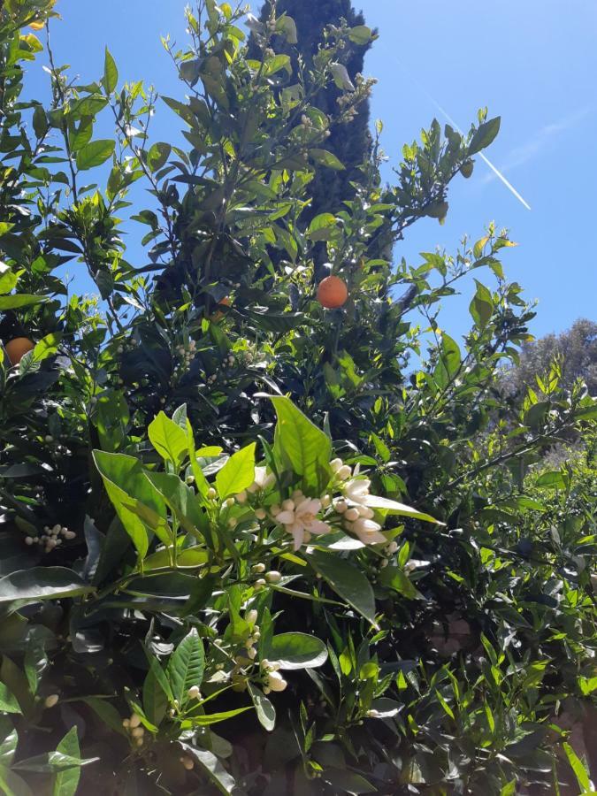 Ventimiglia di Sicilia Crapa Licca 빌라 외부 사진